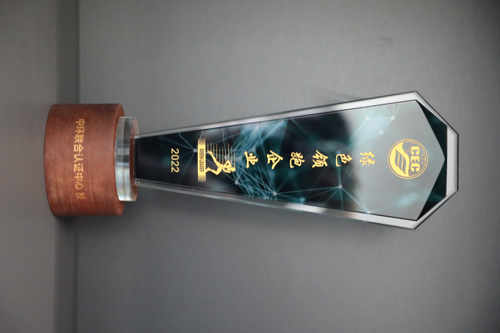 美巢深耕家裝環(huán)保輔料賽道，榮獲“綠色領跑企業(yè)”稱號