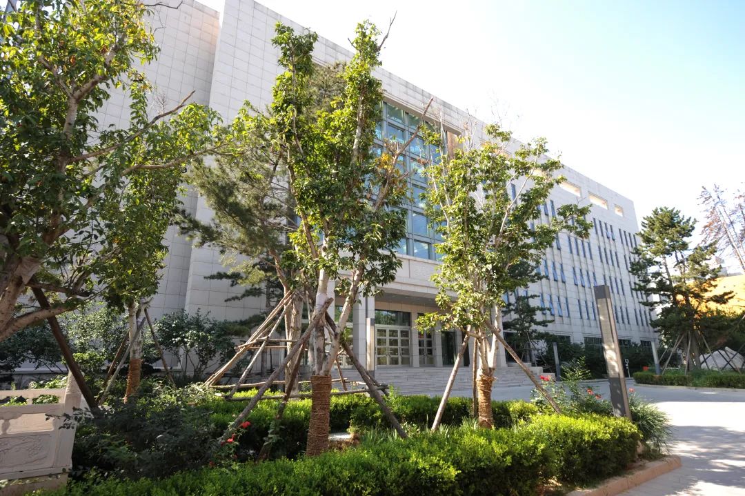 美巢深耕家裝環(huán)保輔料賽道，榮獲“綠色領跑企業(yè)”稱號